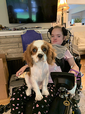 Sophia Videos